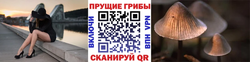 Галлюциногенные грибы Psilocybine cubensis  OMG маркетплейс  Наволоки  купить закладку 