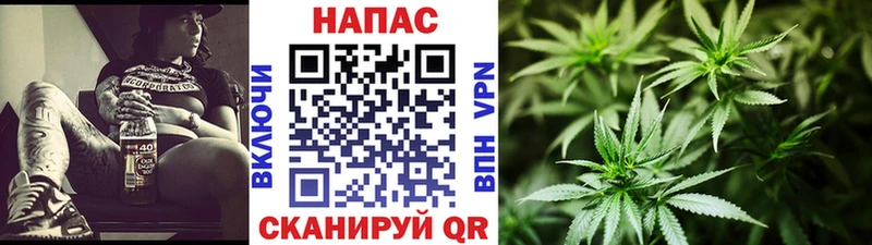 Бошки марихуана ГИДРОПОН  купить наркотик  Наволоки 